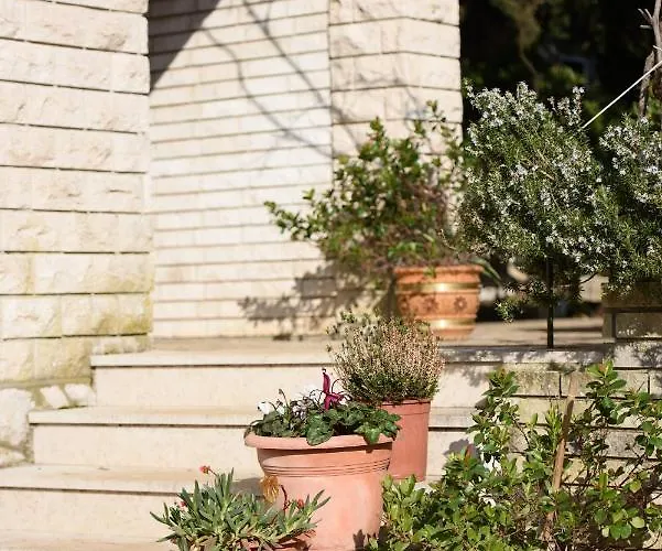 Hébergement de vacances Claudia Lemon