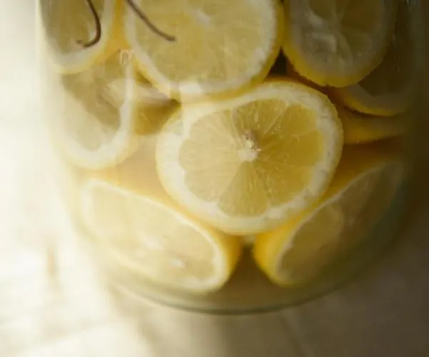 Claudia Lemon Hébergement de vacances