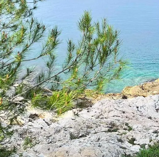 Claudia Lemon Hébergement de vacances *