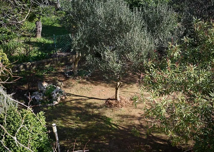 Holiday home Claudia Lemon